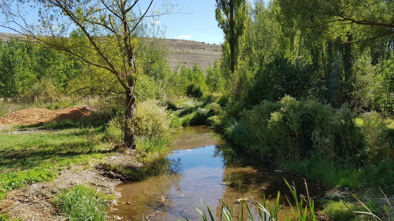 Casa Rural Los Yeros Aldeasona - Segovia Ngoại thất bức ảnh